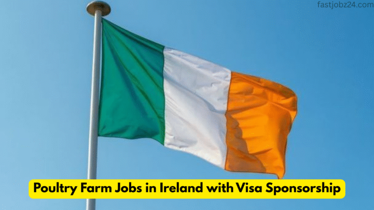 Poultry Farm Jobs in Ireland with Visa Sponsorship